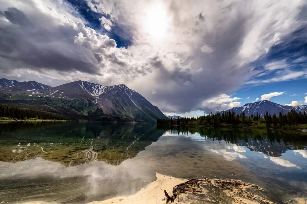 Image uploaded by Stirling