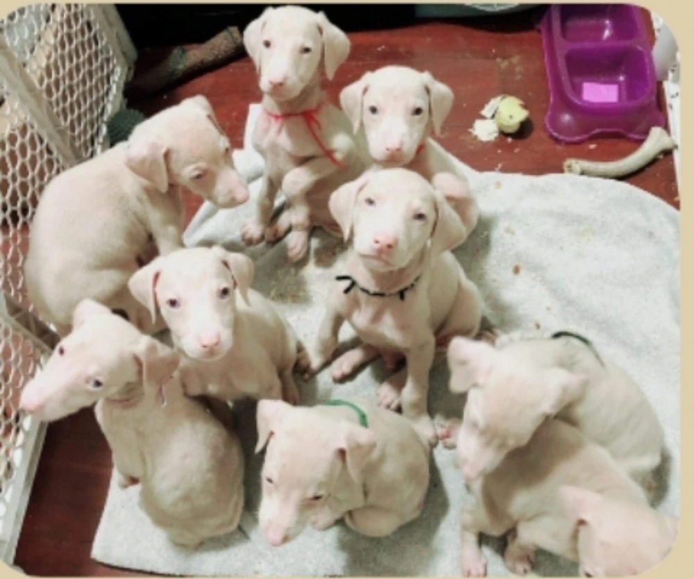 Image uploaded by LOVELLIE