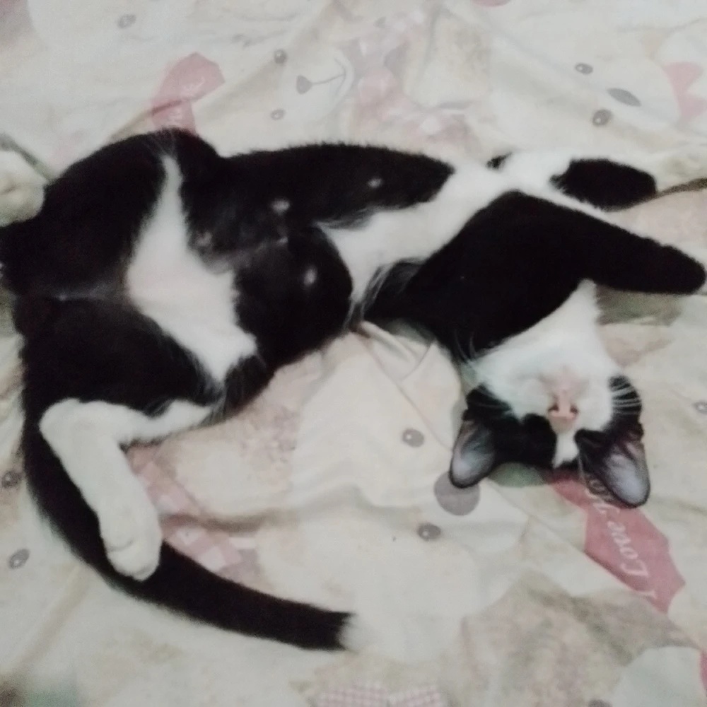 Gambar diunggah oleh Diahpurwati