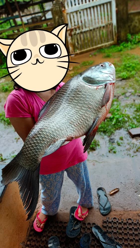 Gi-upload ni Babu kunnumpuram ang hulagway