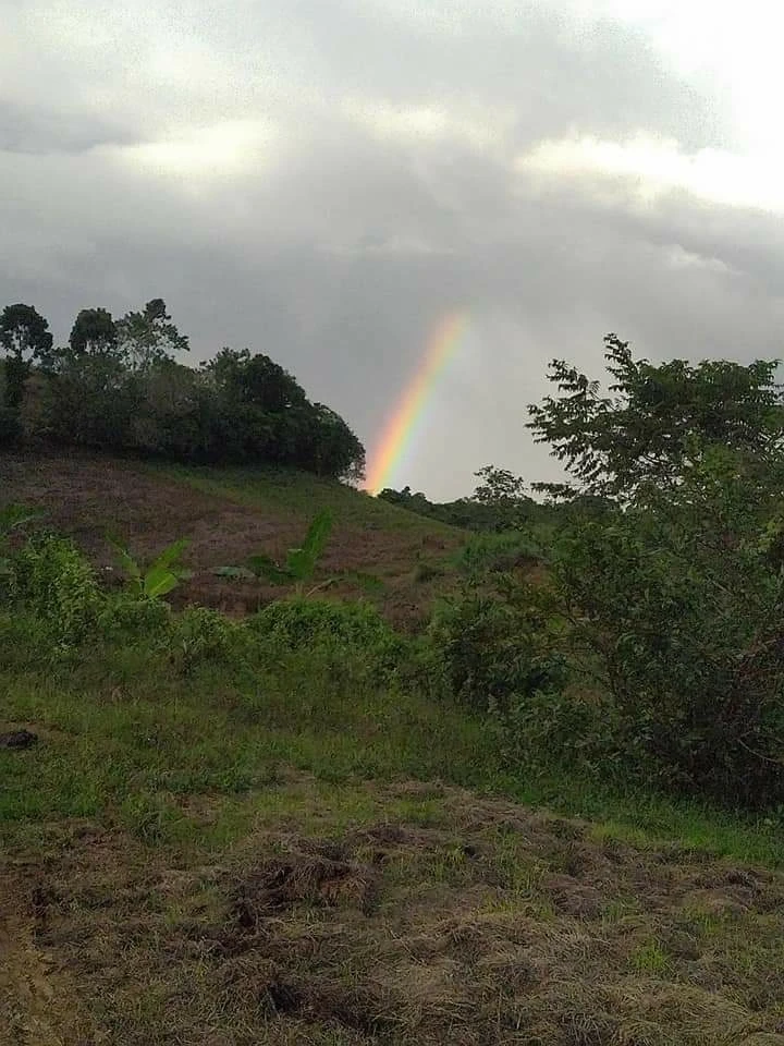 Image uploaded by Rhen