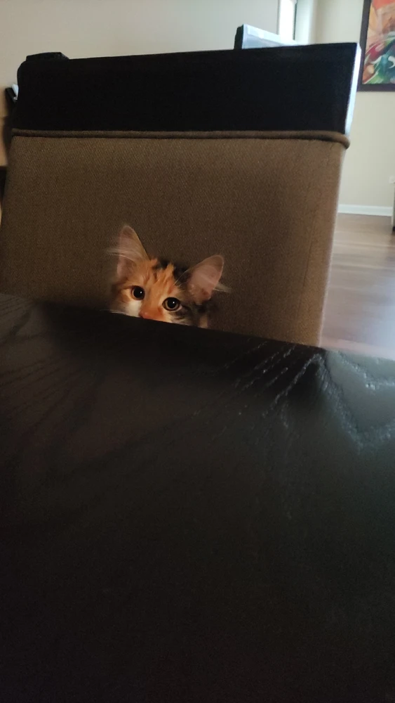 Imagen subida por Juliana