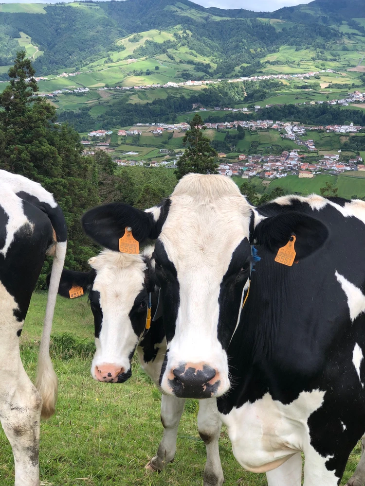 Image uploaded by Sandra