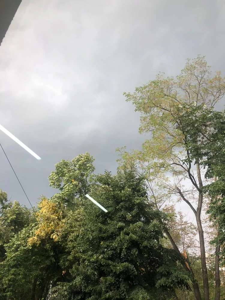 Imagine încărcată de Sandy