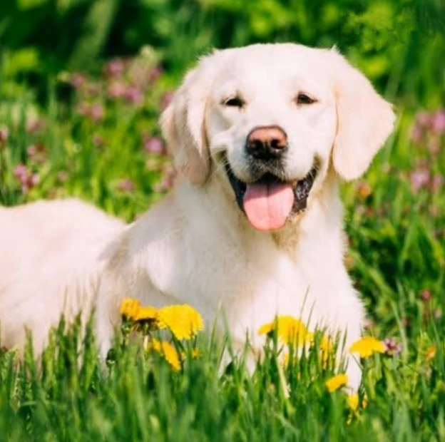 Image uploaded by ally