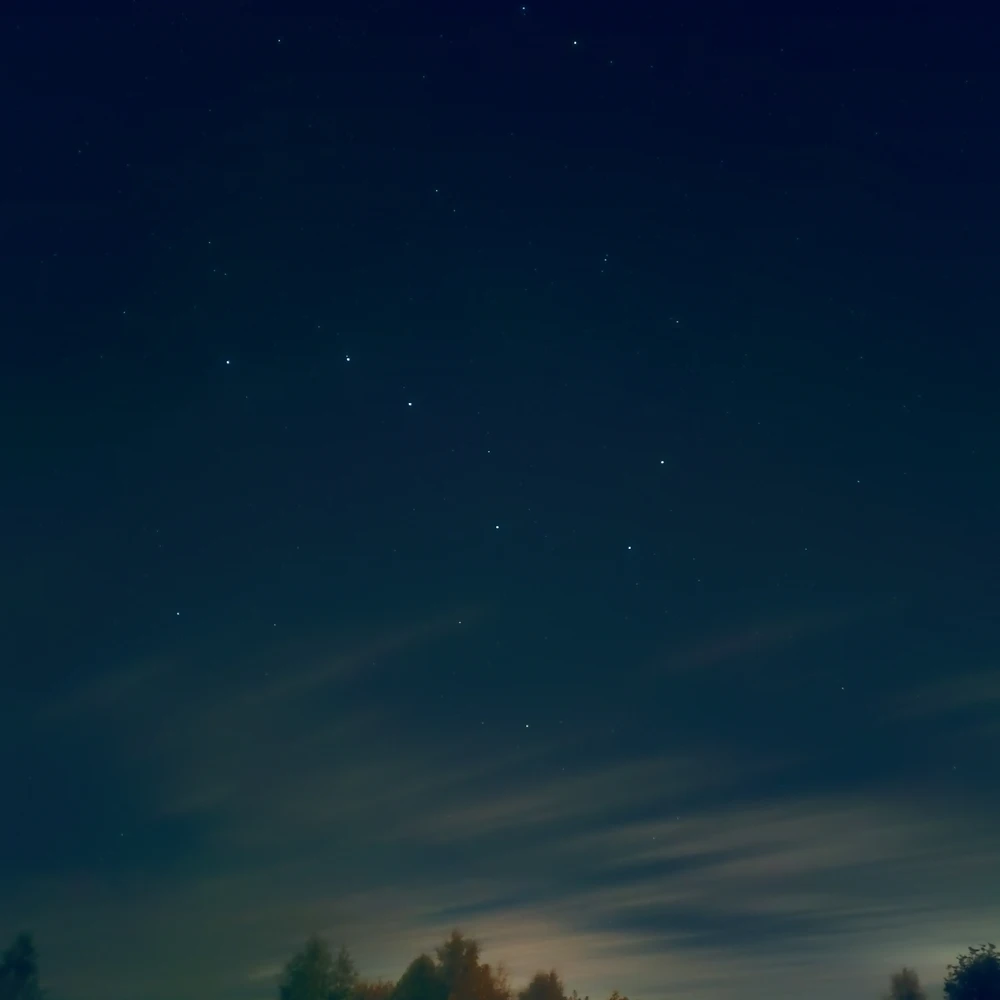 Image uploaded by Alexander