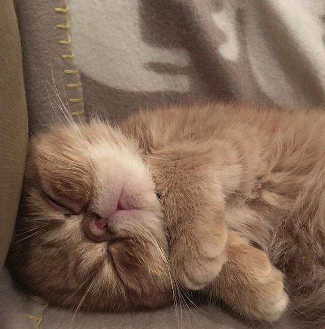 Image uploaded by Donya