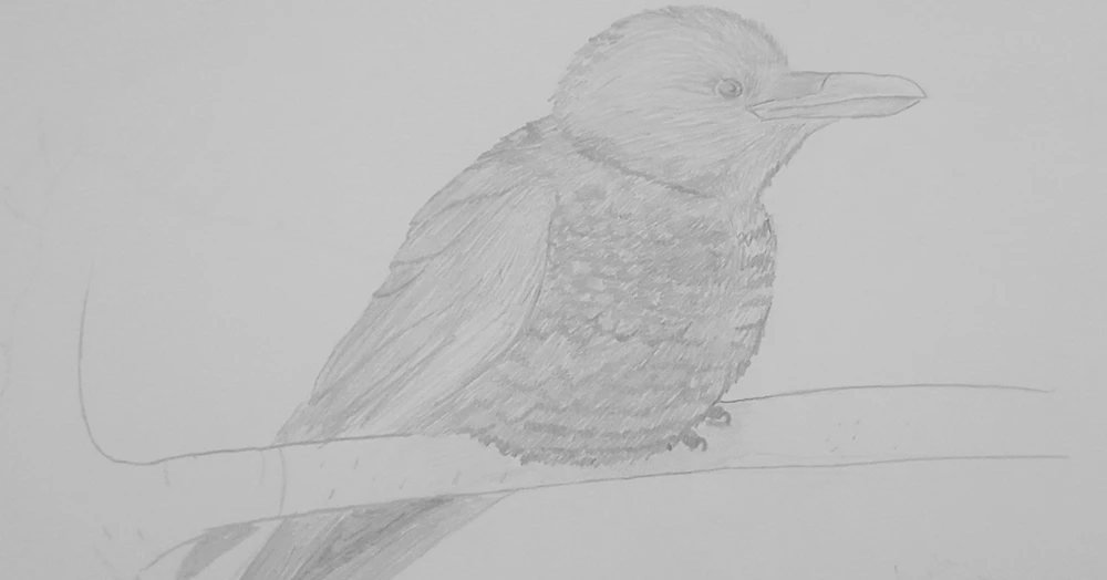 Image uploaded by Kevin