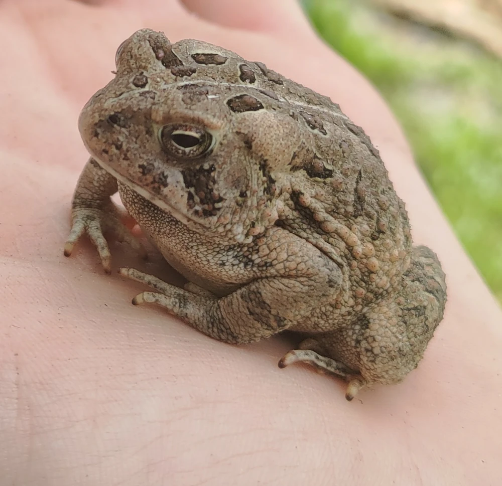 Image uploaded by Joshua