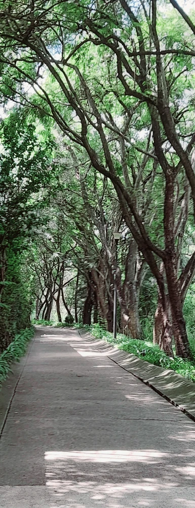 Image uploaded by Aranzazu