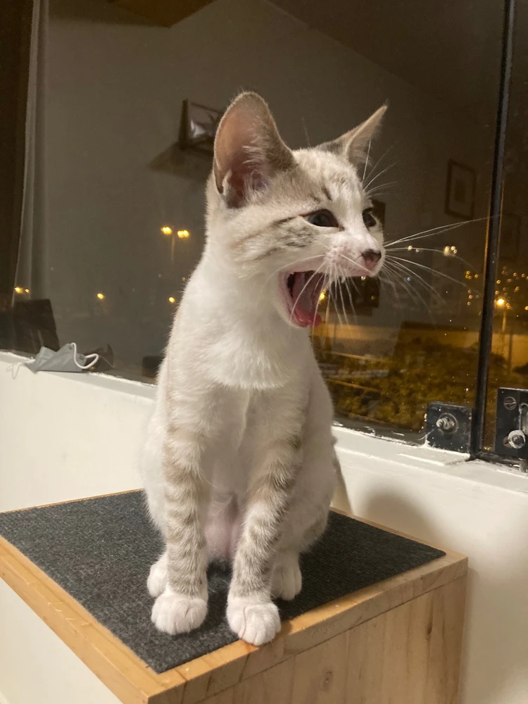 Imagen subida por Lu