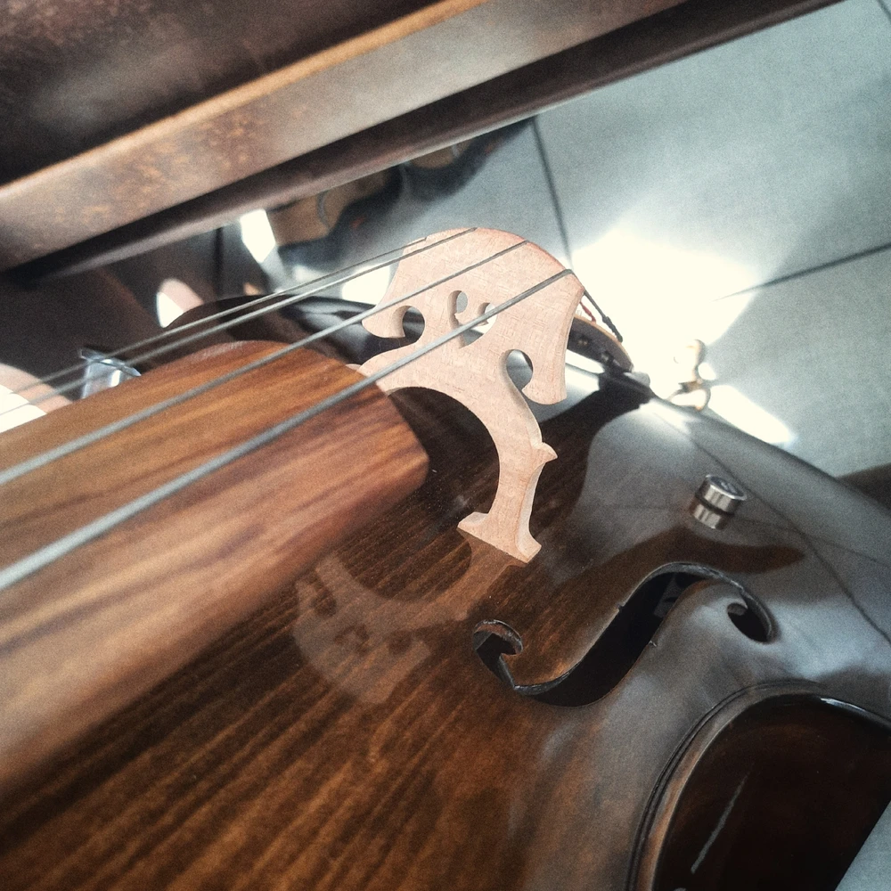 Imagem enviada por João Vitor