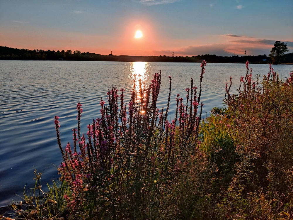 Image uploaded by Mike