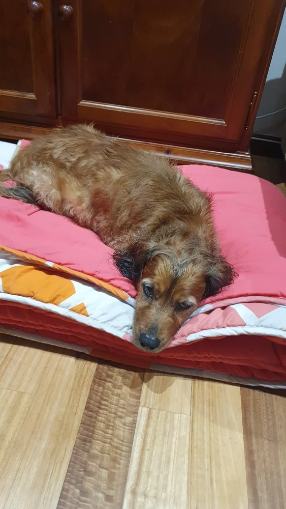 Image uploaded by Mihai