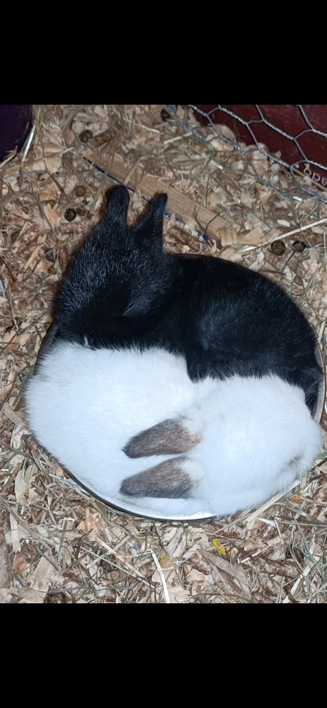 Imagem enviada por Jorge