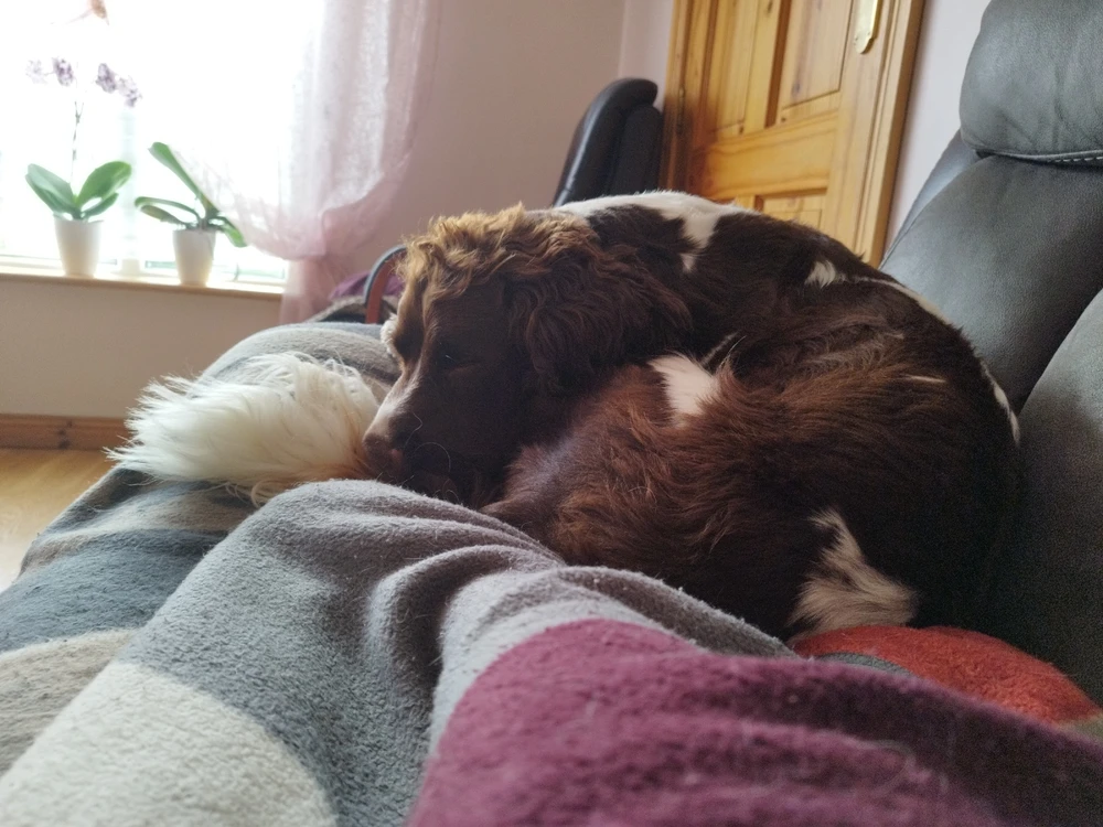 Image uploaded by patrycja