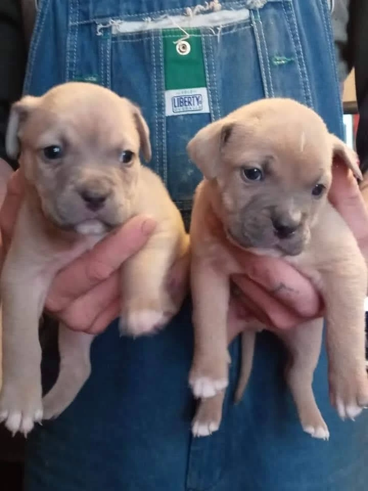 Image uploaded by Aura