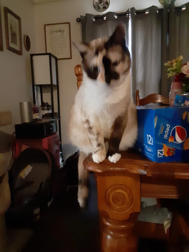 Image uploaded by Kadie