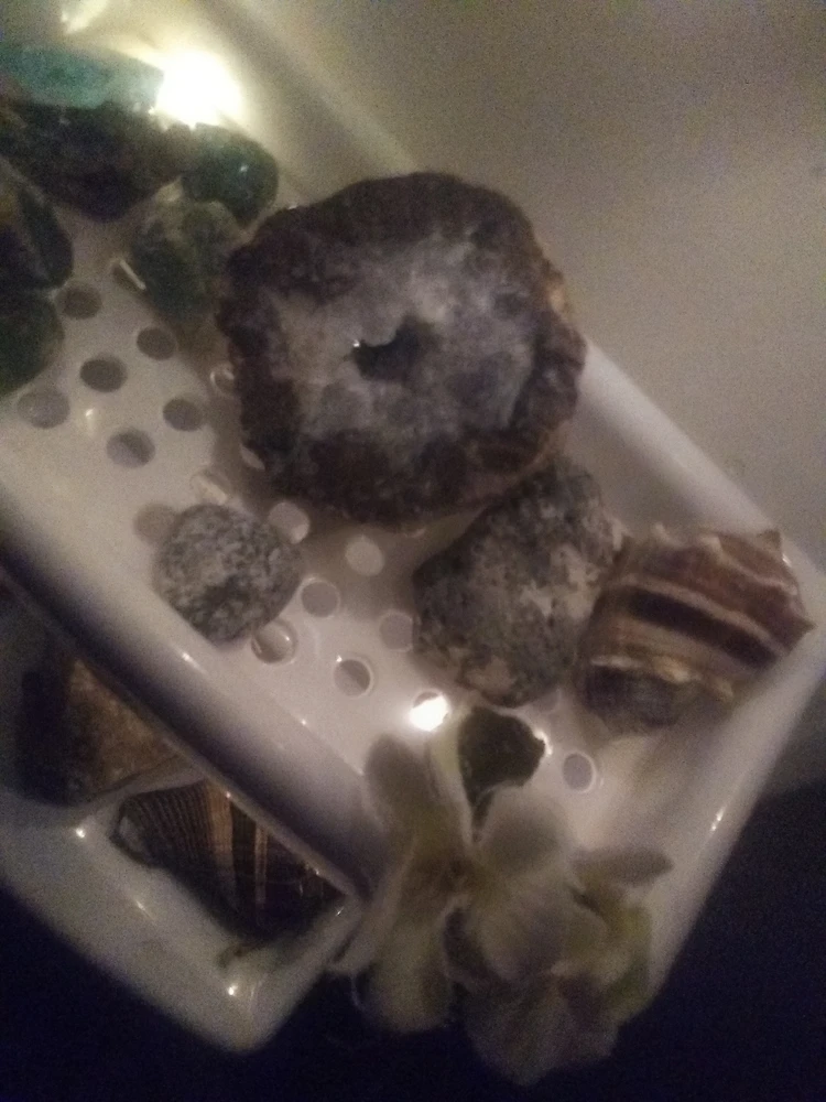 Imagen subida por Diana