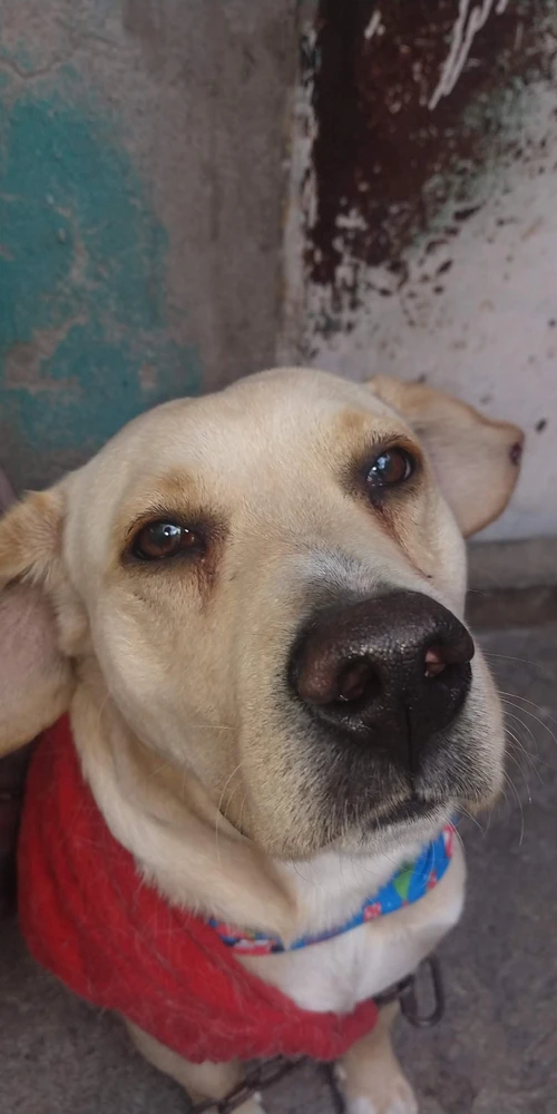 Imagen subida por 🔥Adán🔥