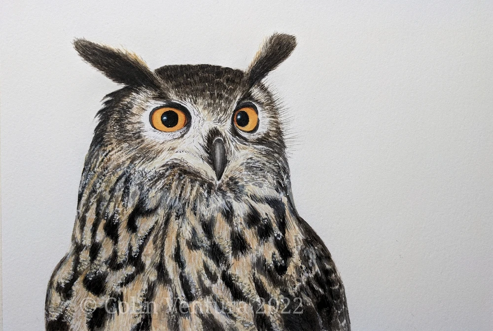 Image uploaded by Colin