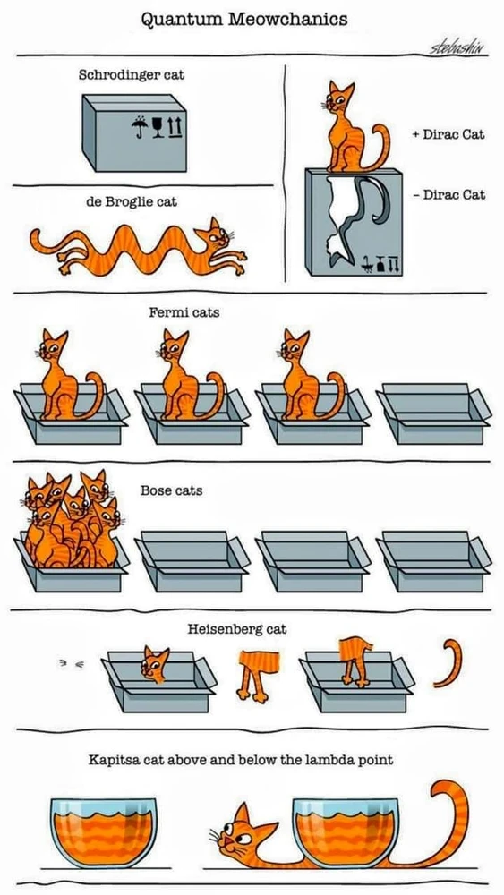 Imagen subida por Rhul