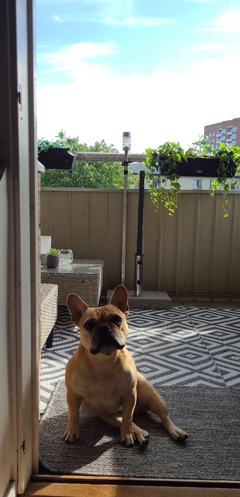 Image uploaded by Benjamin