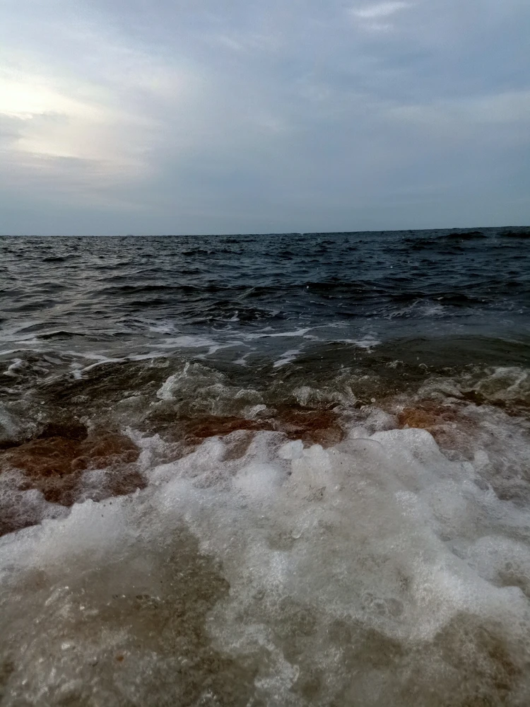 Image uploaded by _