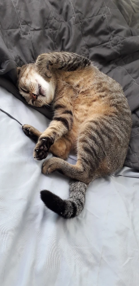 Image uploaded by Eli