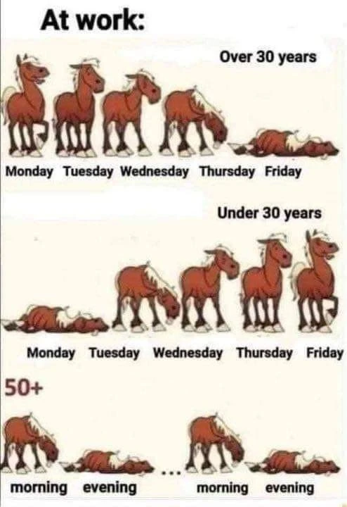 Image uploaded by Angie