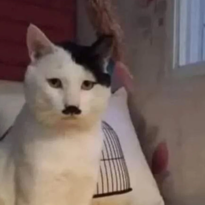 Image uploaded by YourExotic