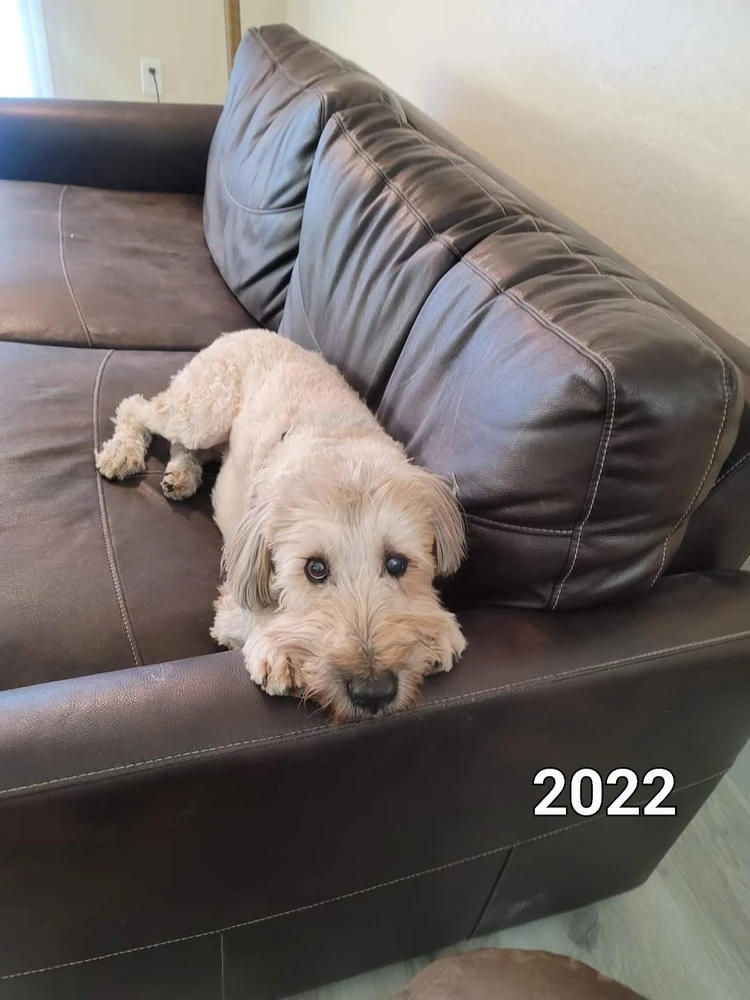 Gambar diunggah dening AJ