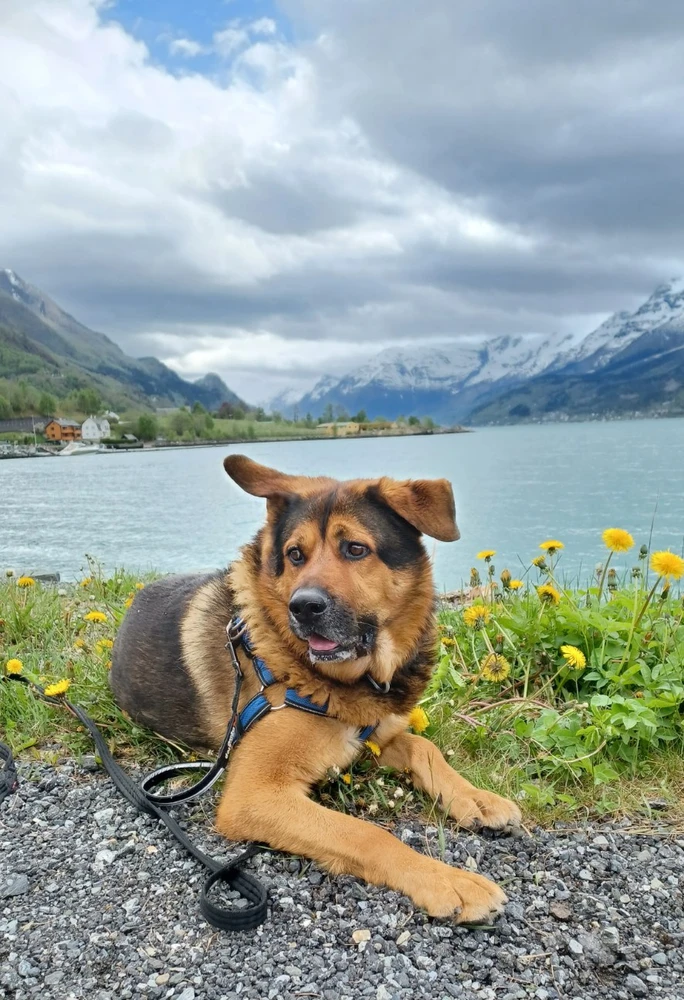 Image uploaded by Torstein