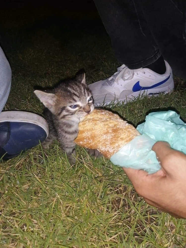 Zdjęcie dodane przez Lila