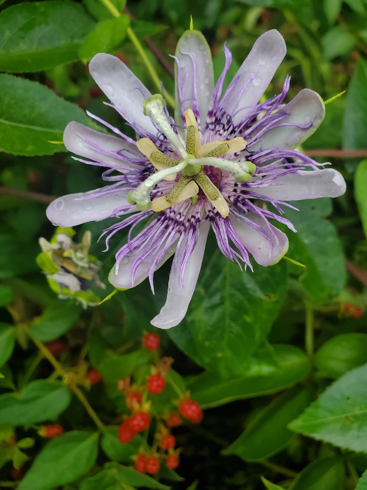 Image uploaded by Alex