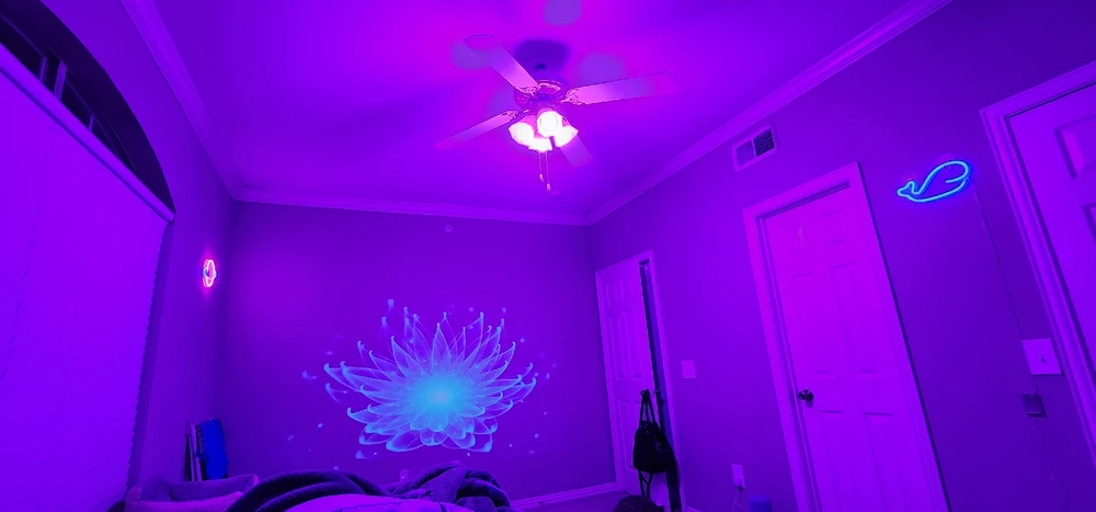 Image uploaded by Sky