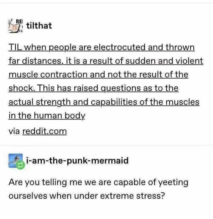 Radian上傳的圖片