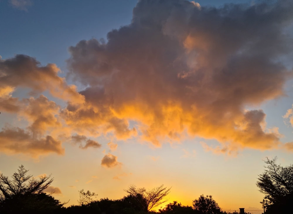 Image uploaded by Sre