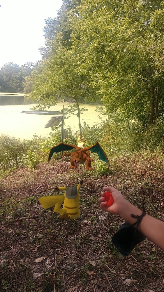 Image uploaded by Jose