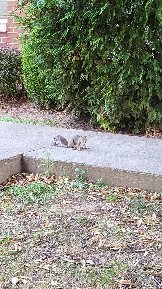 Image uploaded by Chris