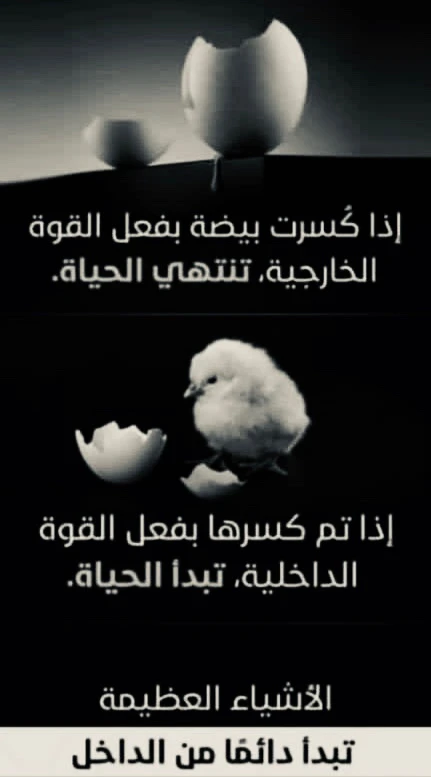 صورة رفعها SAFA