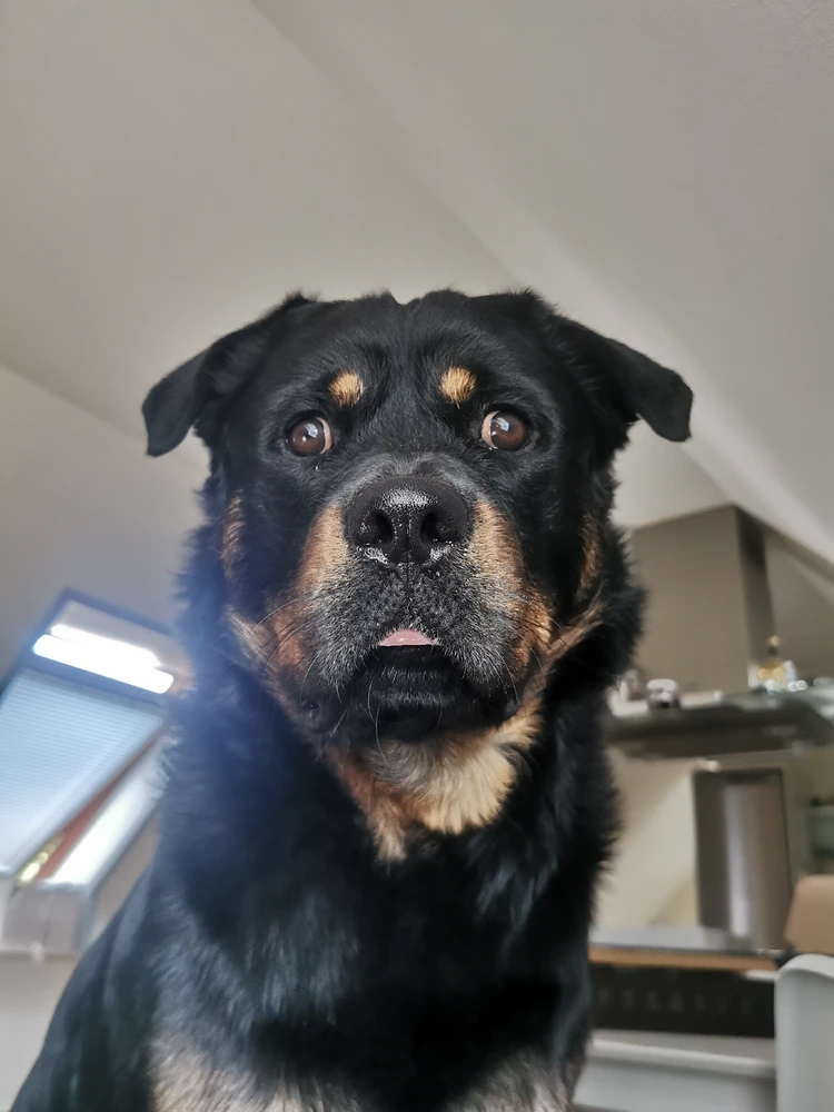 Image uploaded by Jannick