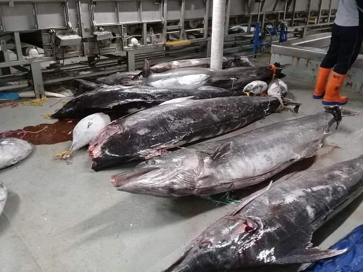 Gambar diunggah oleh Pandu