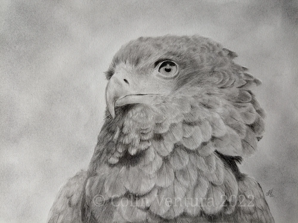 Image uploaded by Colin