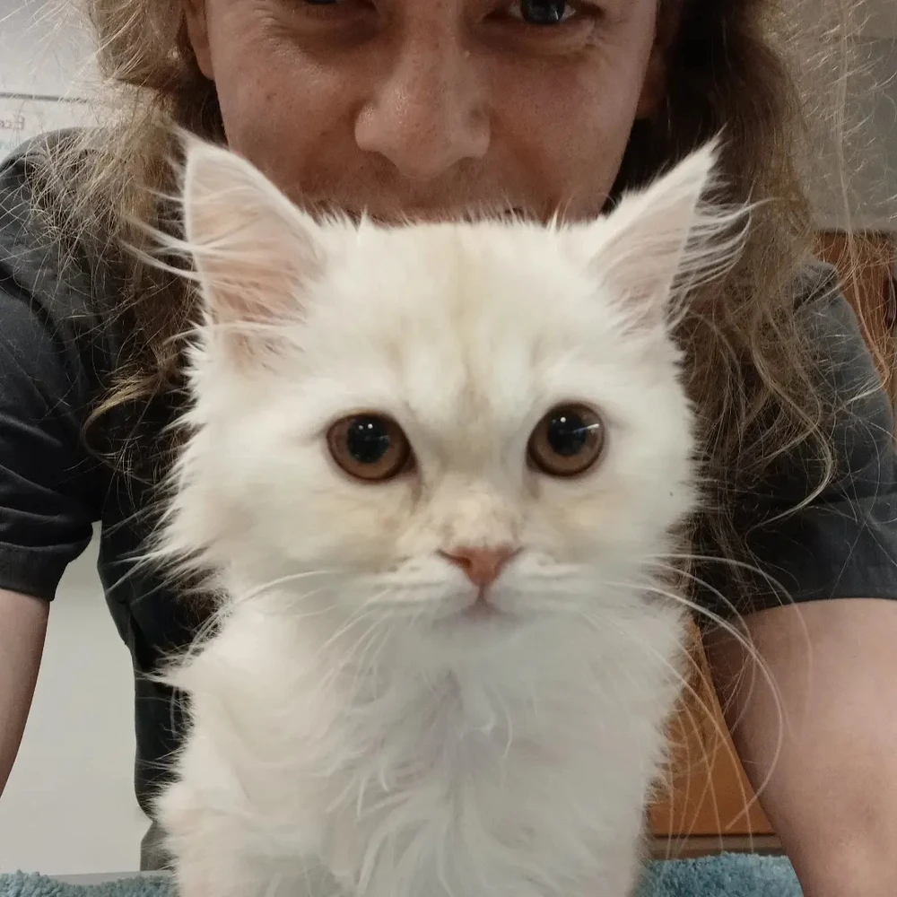 Image uploaded by Kevin