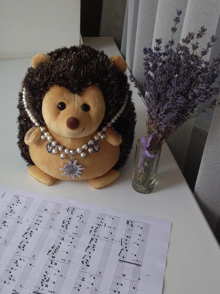 Image uploaded by Sandra Magnett 🧚‍♀️