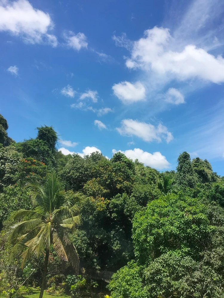 Image uploaded by Jeserie