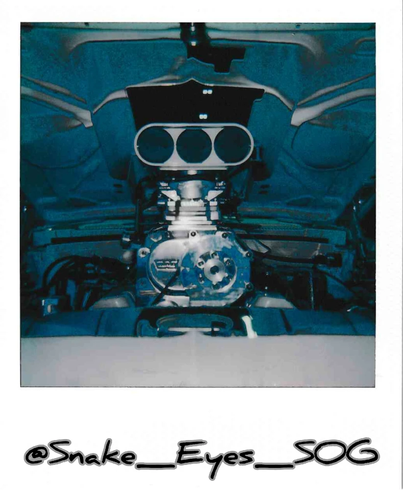 Image uploaded by Chewy