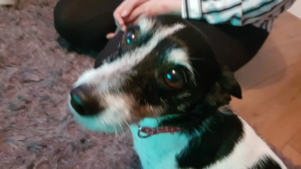 Daniel上傳的圖片