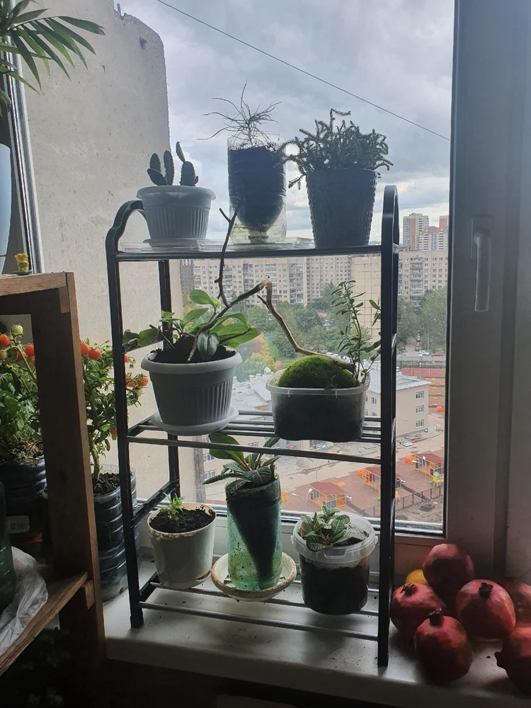 Фото загрузил Anna